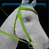 Valedale western bridle