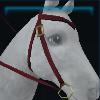 Competition western bridle