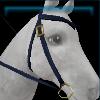 ECO western bridle