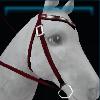 Diamond western bridle