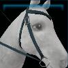 Matte and dark western bridle