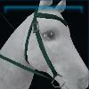 Moss green western bridle