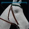 Brown and green western bridle