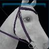 Dark purple western bridle