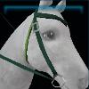 Jumping western bridle