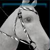 Zebra patterned western bridle