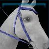 Purple-checkered western bridle