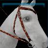 Giraffe patterned western bridle