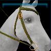 Green crocodile bridle