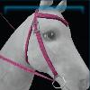 Pink crocodile western bridle