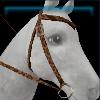 Leopard patterned bridle