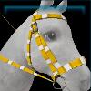Easter bridle