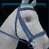 Miller's bridle