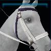 Star bridle