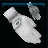 The Baroness' gloves