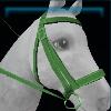 Village bridle