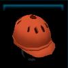 Trainer helmet