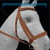 Farmhand bridle