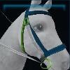 Jarlaheim bridle