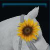 Jarlaheim flower