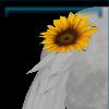 Jarlaheim tail flower