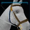 GED outsourced bridle