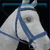 Firgrove bridle