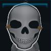 Skeleton