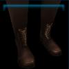 Dark brown arena boots