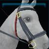 Forest bridle