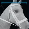 Vineyard bridle
