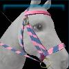 Winter bridle