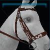 Winter bridle