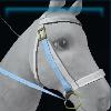 Ice-blue snow bridle