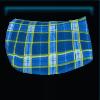 Turquoise checkered saddle pad