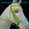 Leafy Spring bridle