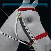 Love bridle