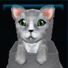 Silver toyger