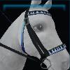 Rock bridle