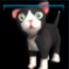 GroupCats_Name