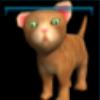 Red kitten