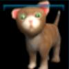 Brown kitten