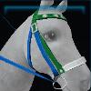 Summery bridle