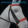 Summer fruit bridle