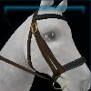 Brown fall bridle