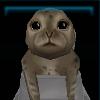 Seal pup