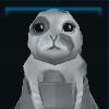 Seal pup