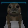 Seal pup