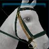 Green Druid bridle