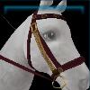 Red Druid bridle